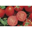 Red Sky F1 Domates Tohumu Hibrit Domates Tohumu resmi