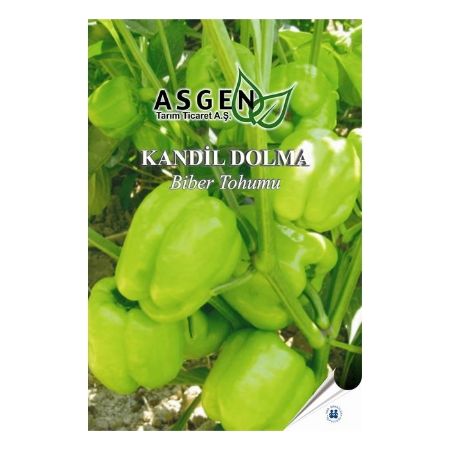 Kandil Dolma Biber Tohumu resmi
