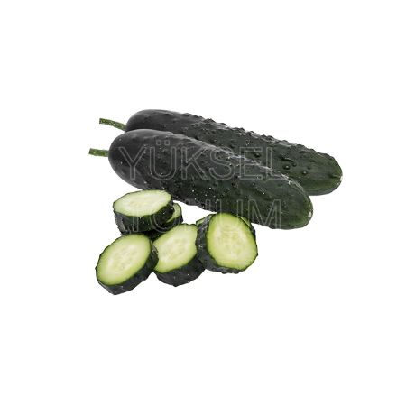 Akustik F1 Hıyar Tohumu resmi