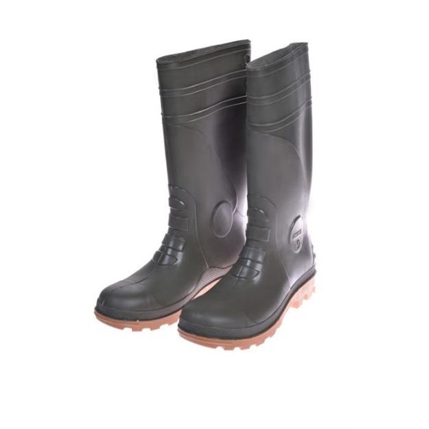 Pollyboot No:40 resmi