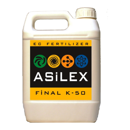 Asilex Final K 5-0-30 resmi