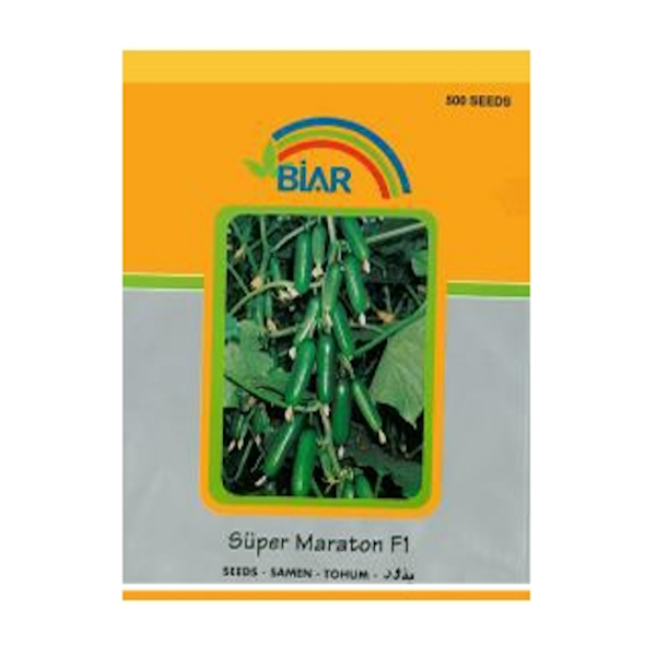 Burçhan F1 Hıyar Tohumu (500 Adet'lik Paketlerde) resmi