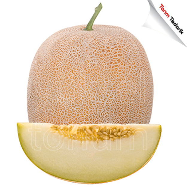 Kehribar F1 Kavun Tohumu (Ananas) resmi