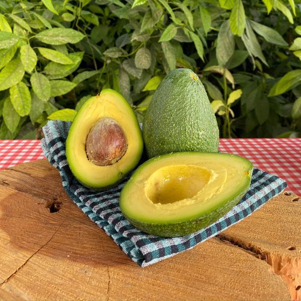 Fuerte Fidanı resmi