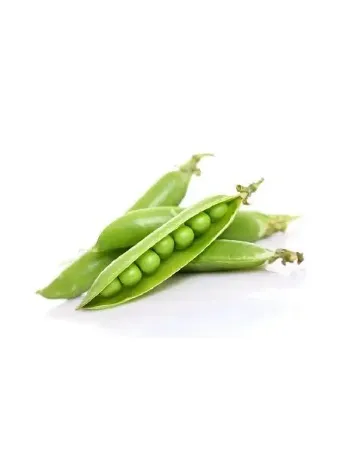 Bezelye Karina resmi