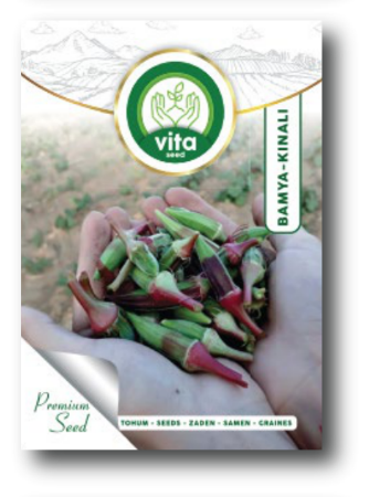 Bamya Kınalı resmi