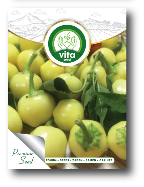 Biberiye Misket resmi