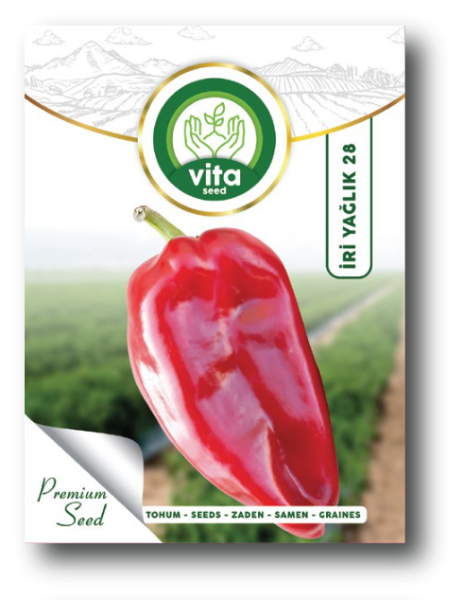 Yalova Yağlık 28 resmi